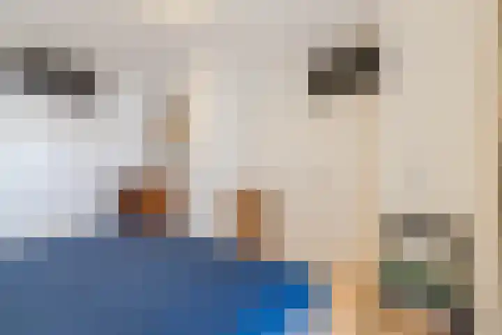 Albert van Dalsumlaan 75 Utrecht thumbnail 31