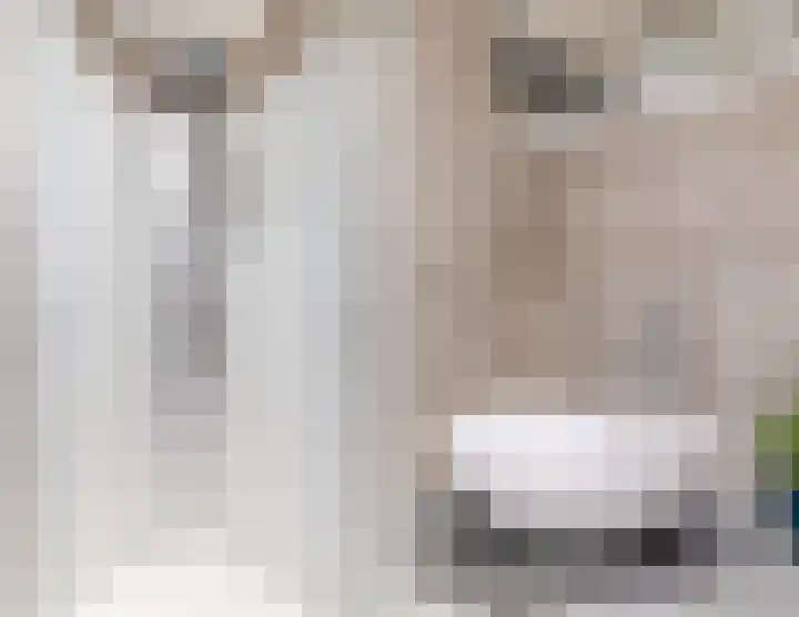 Albert van Dalsumlaan 75 Utrecht thumbnail 38