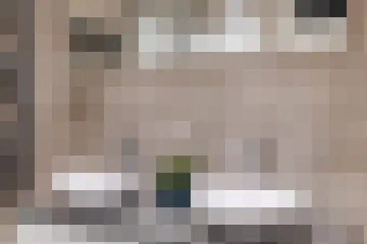 Albert van Dalsumlaan 75 Utrecht thumbnail 39