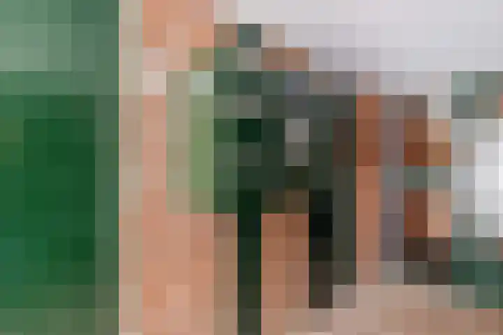 Albert van Dalsumlaan 75 Utrecht thumbnail 44