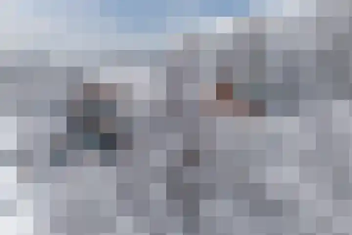 Albert van Dalsumlaan 75 Utrecht thumbnail 53