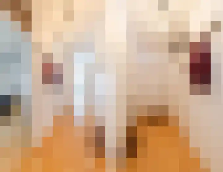 Albert van Dalsumlaan 75 Utrecht thumbnail 7