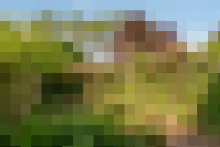 Albert van Dalsumlaan 773 Utrecht thumbnail 10