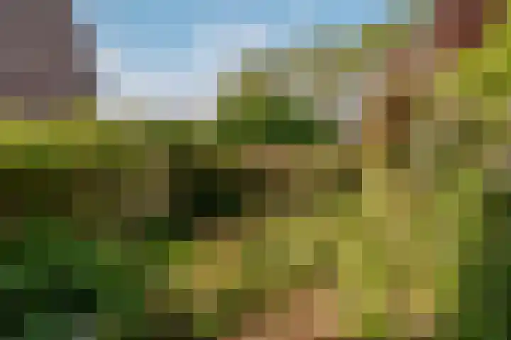 Albert van Dalsumlaan 773 Utrecht thumbnail 11