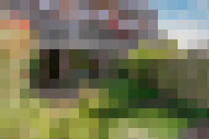 Albert van Dalsumlaan 773 Utrecht thumbnail 13