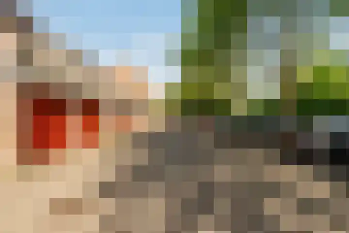 Albert van Dalsumlaan 773 Utrecht thumbnail 24