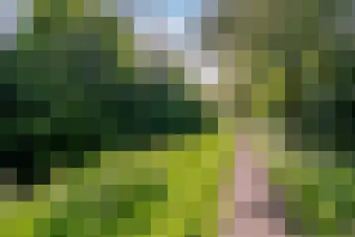 Albert van Dalsumlaan 773 Utrecht thumbnail 26