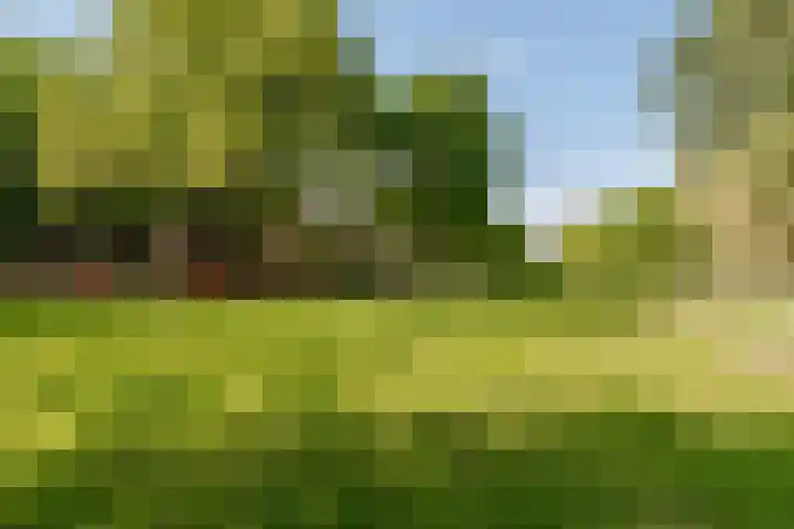 Albert van Dalsumlaan 773 Utrecht thumbnail 27