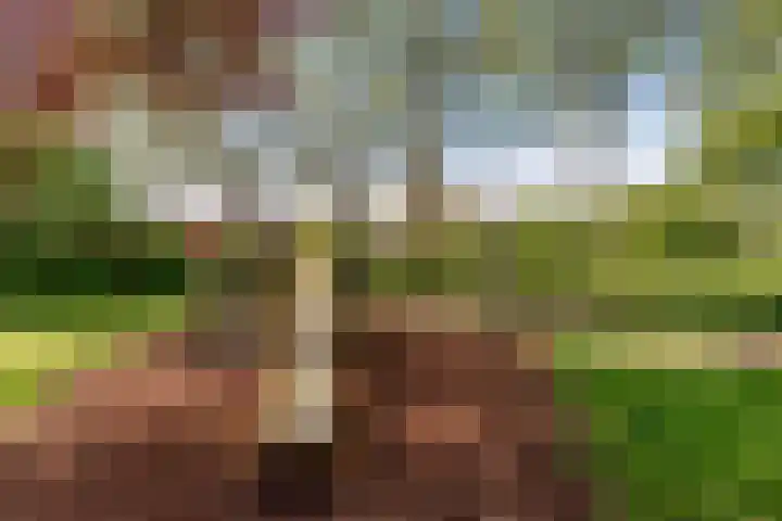 Albert van Dalsumlaan 773 Utrecht thumbnail 28