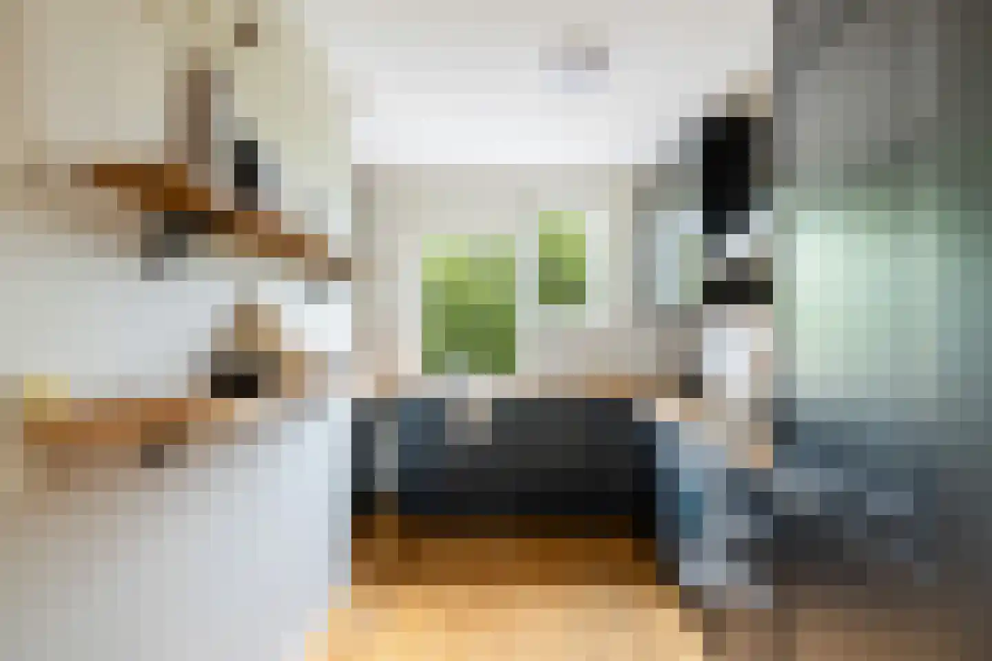 Albert van Dalsumlaan 781 Utrecht thumbnail 19