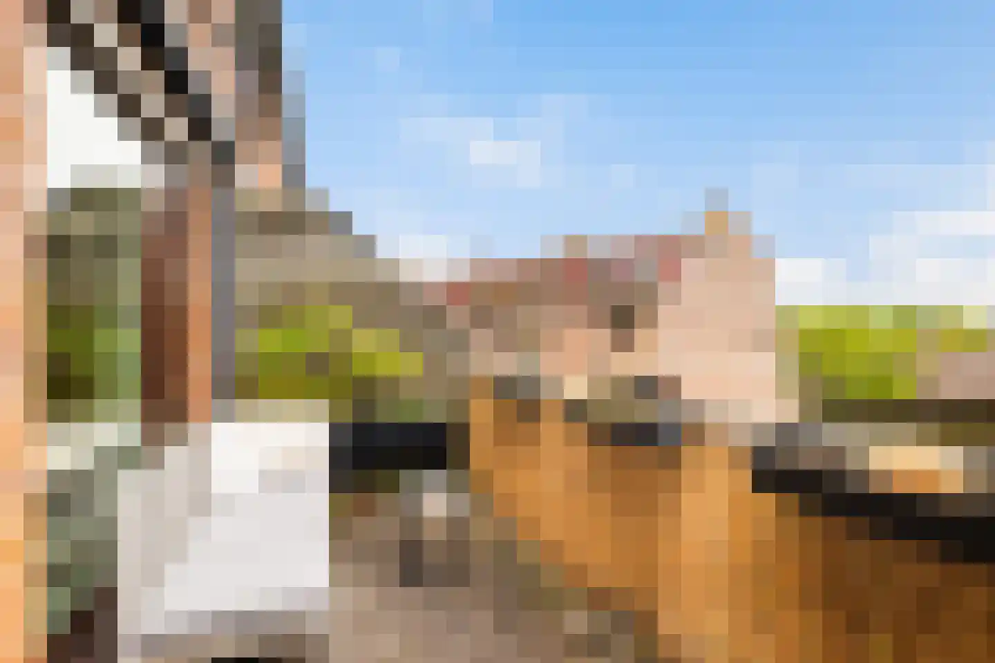 Albert van Dalsumlaan 781 Utrecht thumbnail 25