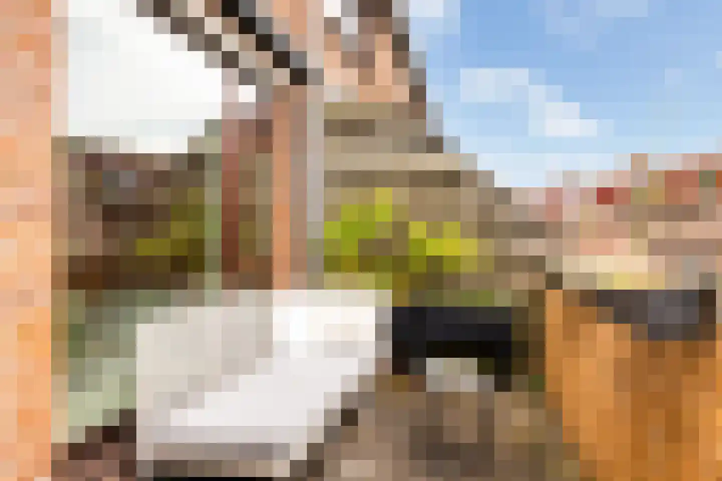 Albert van Dalsumlaan 781 Utrecht thumbnail 26