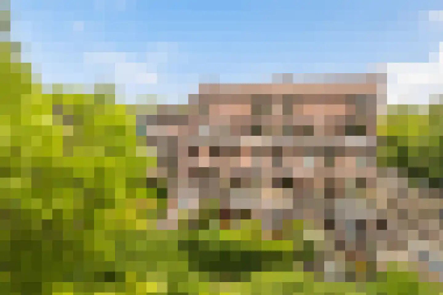 Albert van Dalsumlaan 781 Utrecht thumbnail 46