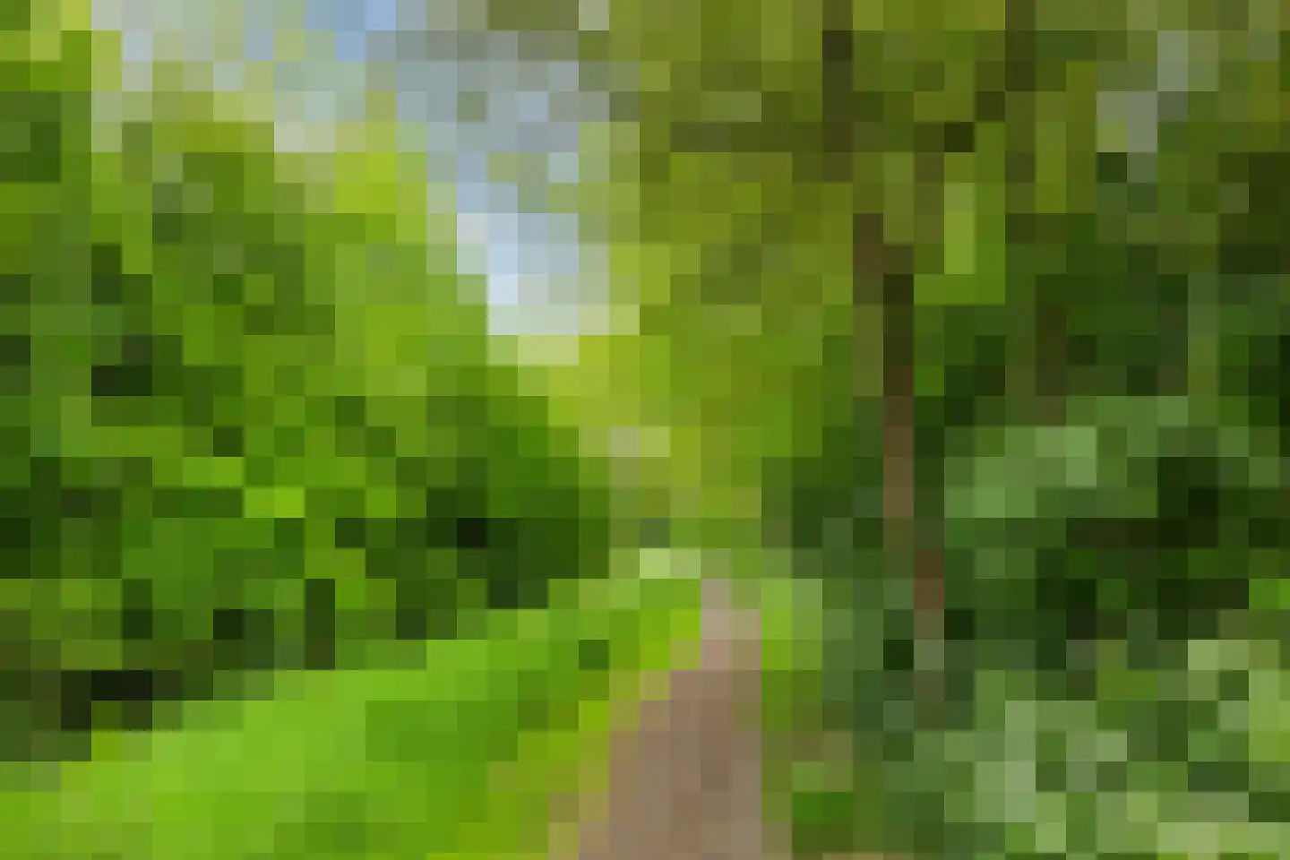 Albert van Dalsumlaan 781 Utrecht thumbnail 48