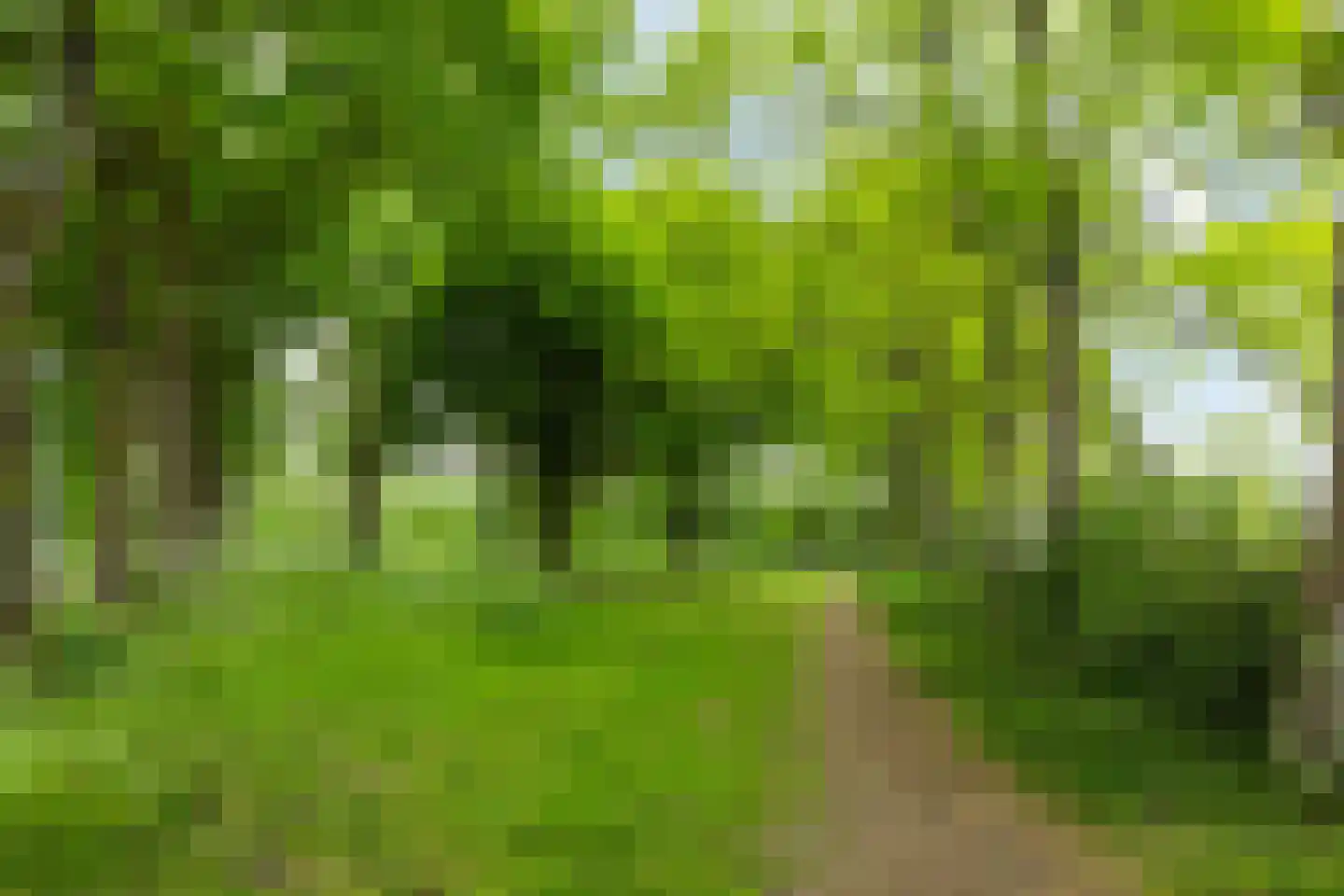 Albert van Dalsumlaan 781 Utrecht thumbnail 49