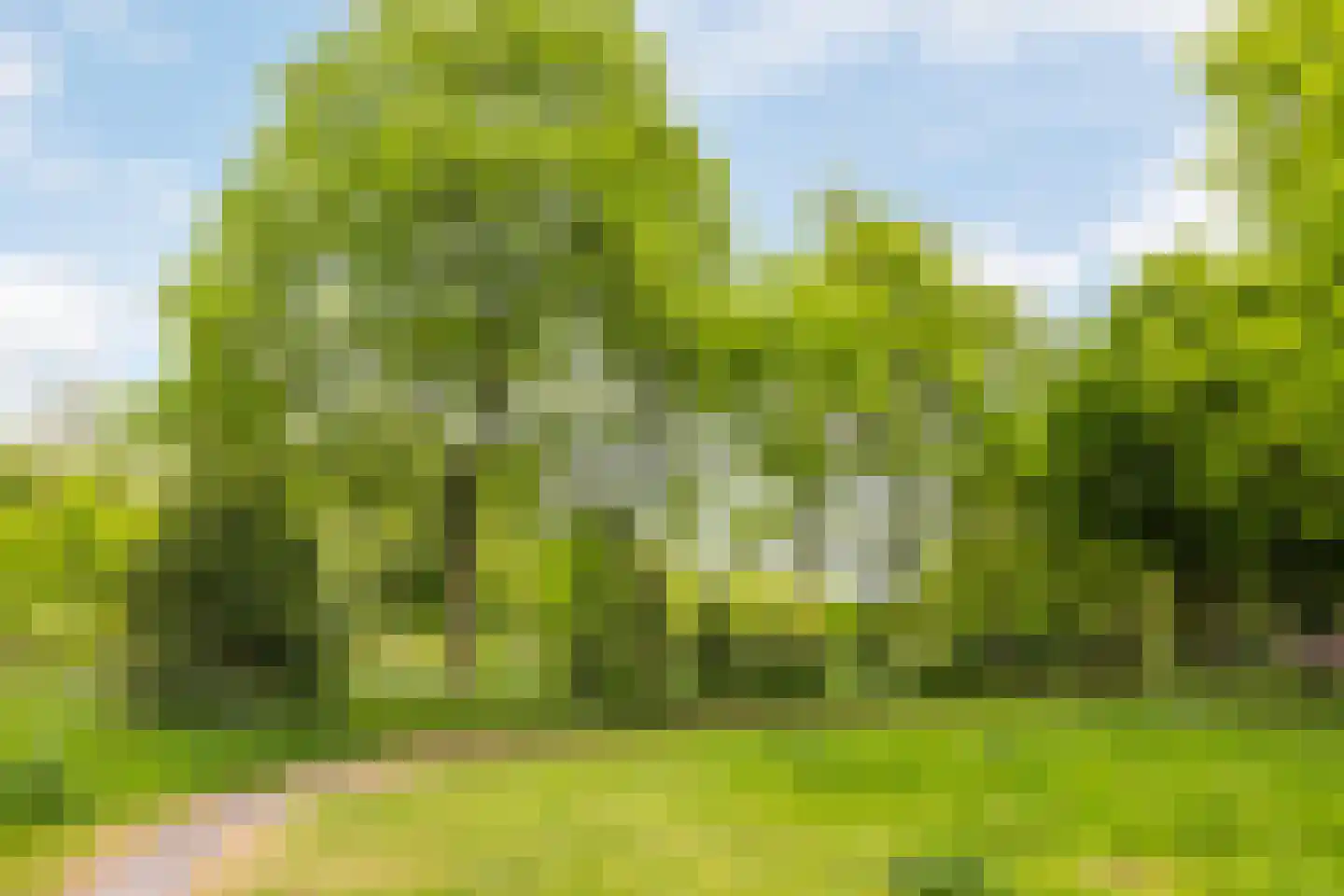 Albert van Dalsumlaan 781 Utrecht thumbnail 51