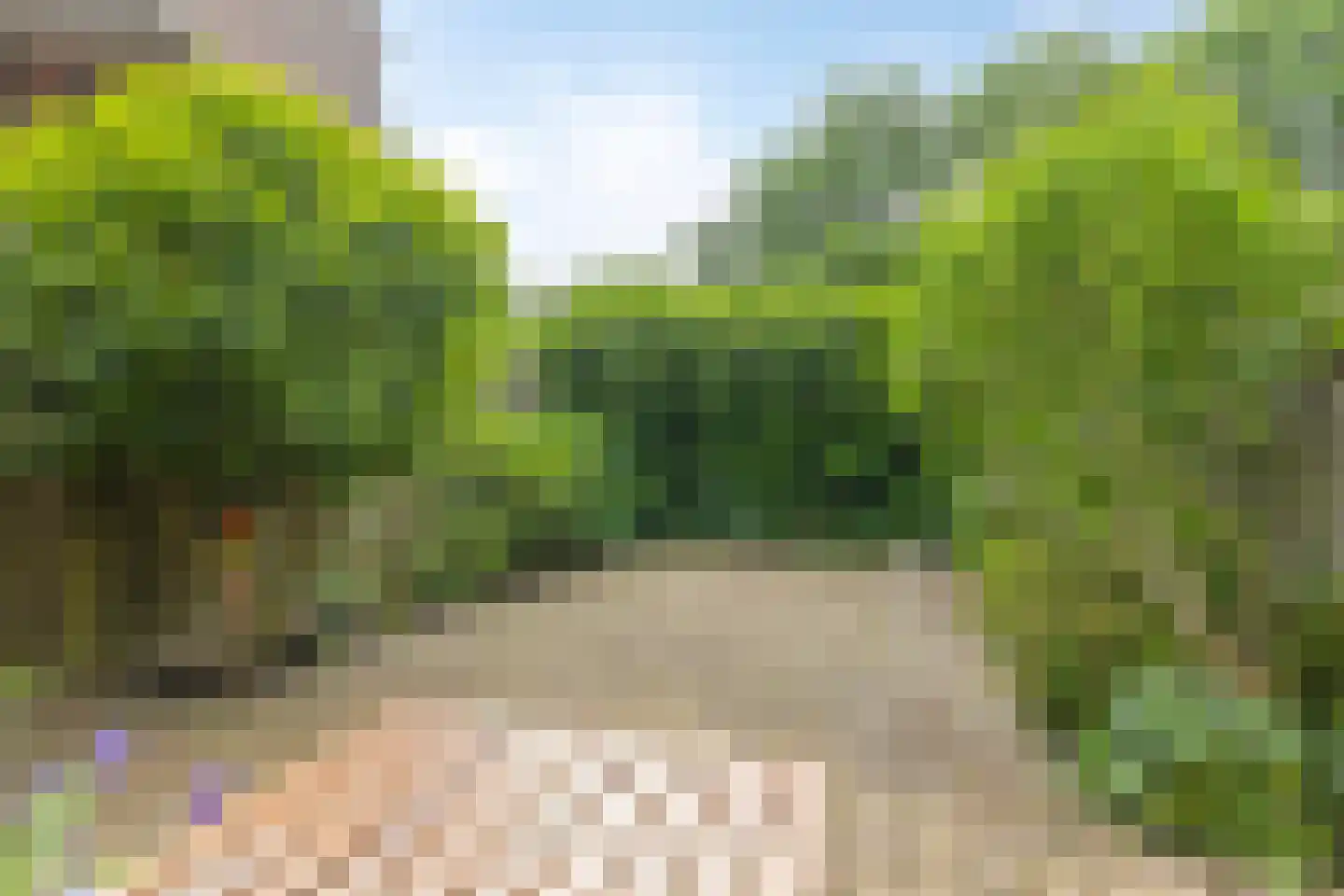 Albert van Dalsumlaan 785 Utrecht thumbnail 18