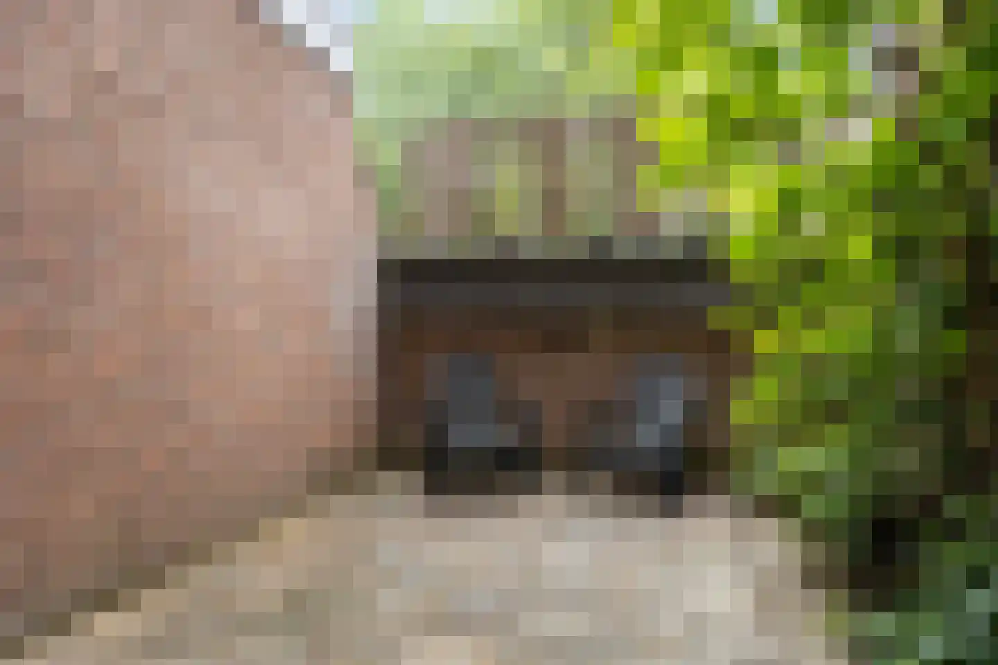 Albert van Dalsumlaan 785 Utrecht thumbnail 20