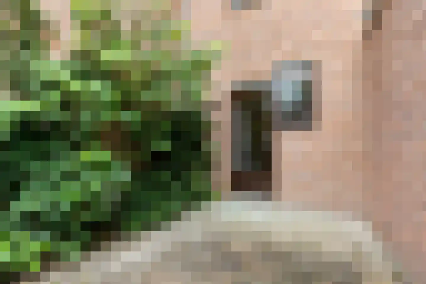 Albert van Dalsumlaan 785 Utrecht thumbnail 21