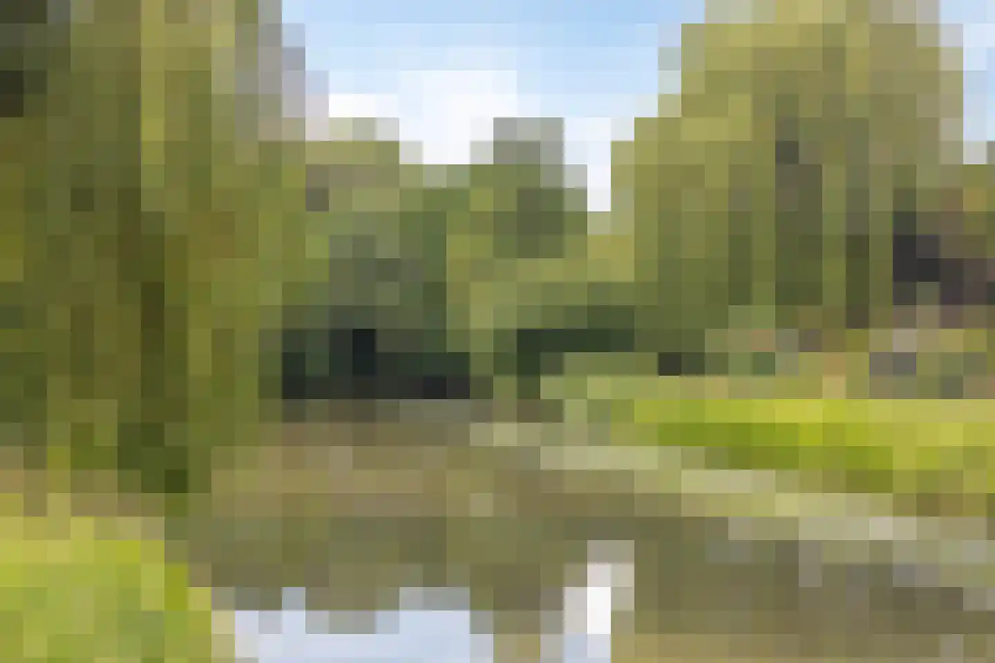 Albert van Dalsumlaan 785 Utrecht thumbnail 23