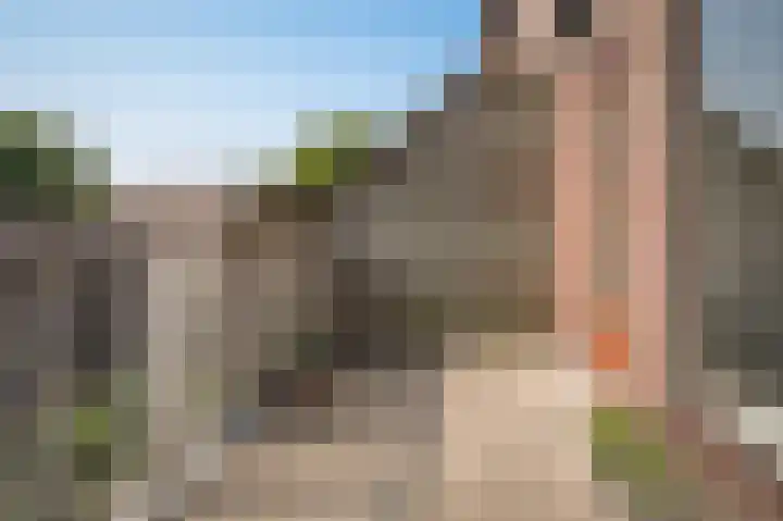 Albert van Dalsumlaan 795 Utrecht thumbnail 15