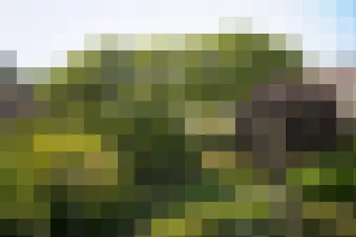 Albert van Dalsumlaan 795 Utrecht thumbnail 16