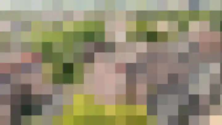 Albert van Dalsumlaan 795 Utrecht thumbnail 33