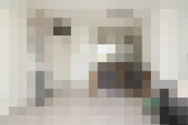 Albert van Dalsumlaan 795 Utrecht thumbnail 7