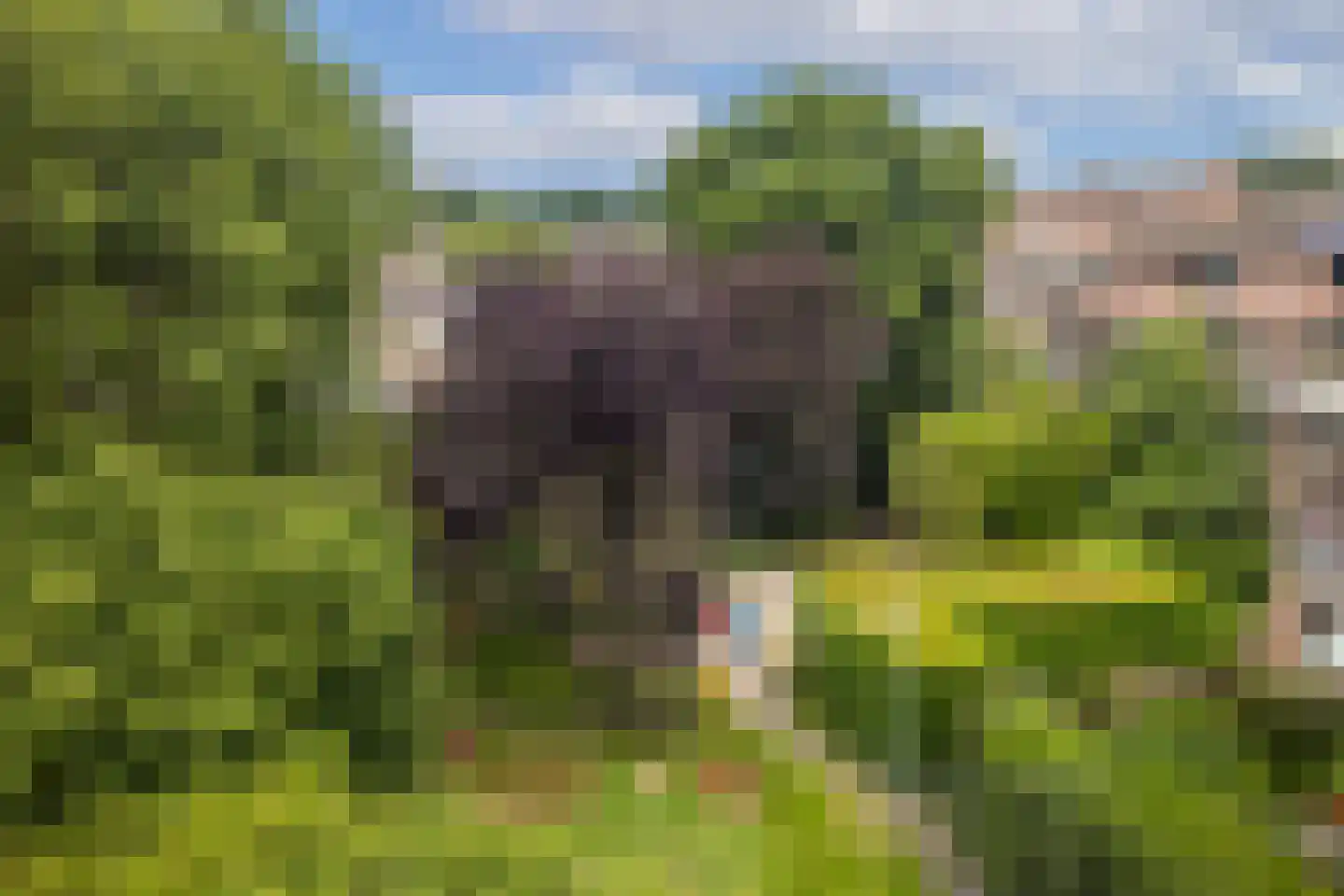 Albert van Dalsumlaan 809 Utrecht thumbnail 11