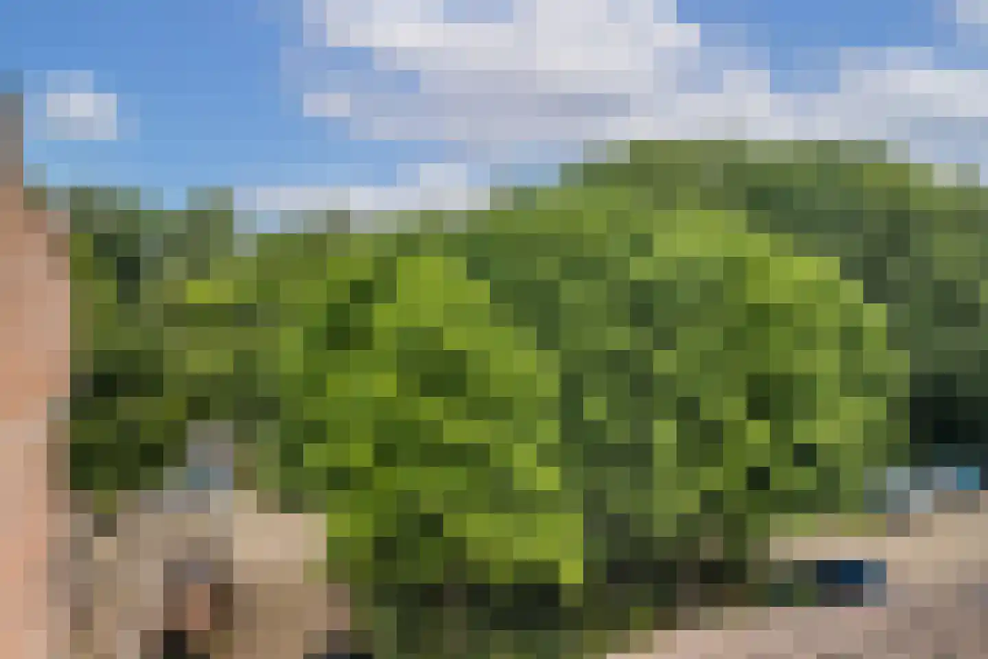 Albert van Dalsumlaan 809 Utrecht thumbnail 19