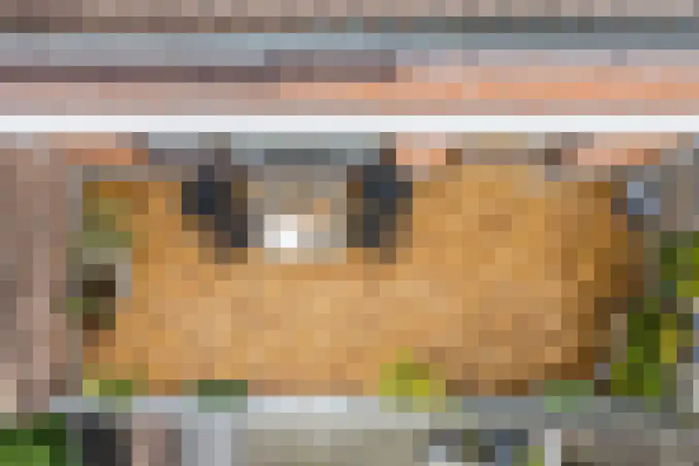 Albert van Dalsumlaan 809 Utrecht thumbnail 27