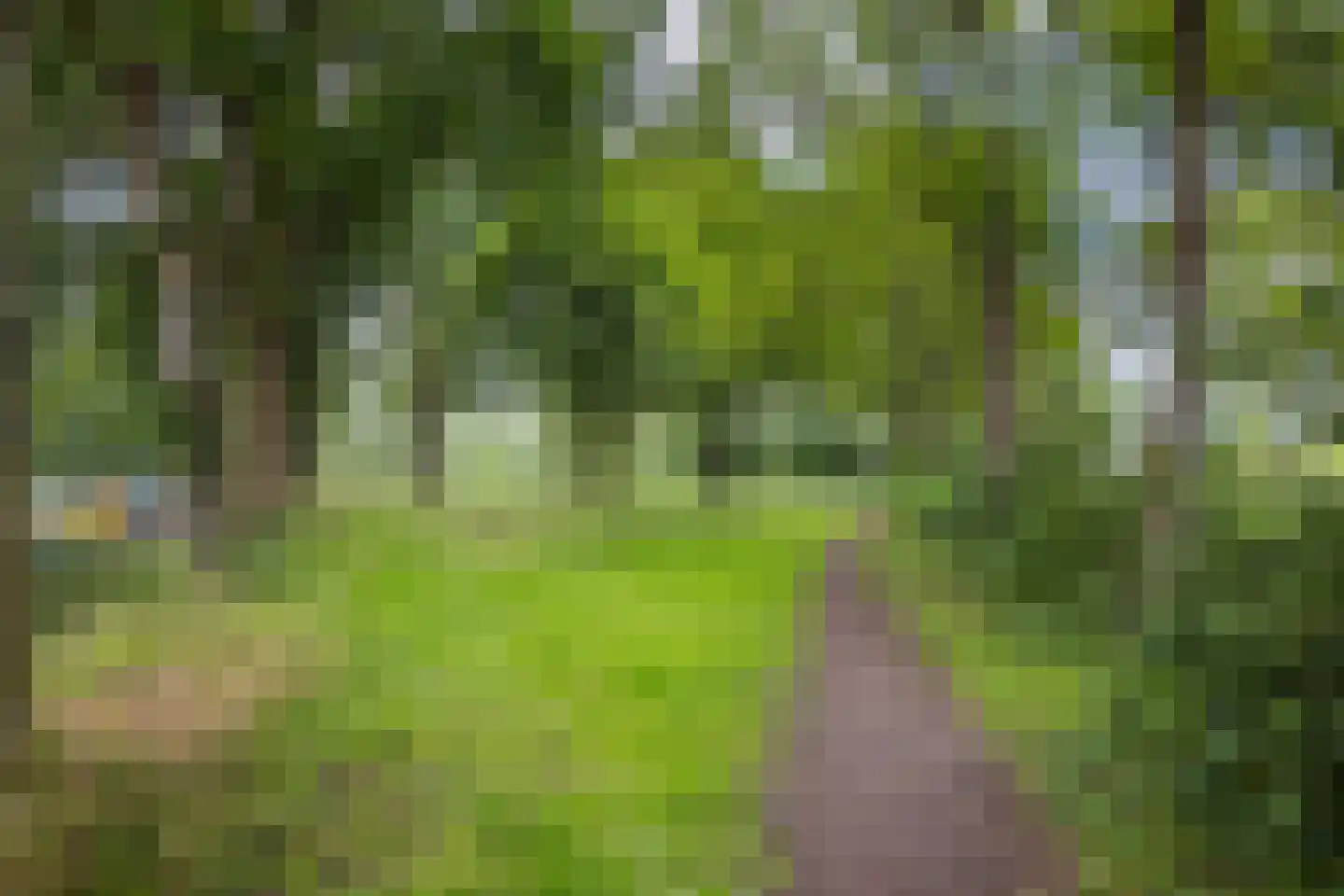 Albert van Dalsumlaan 809 Utrecht thumbnail 47