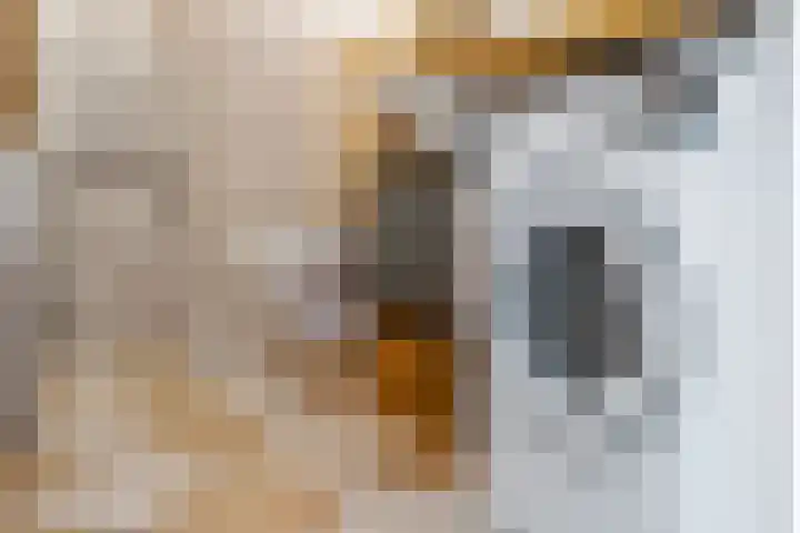 Albert van Dalsumlaan 819 Utrecht thumbnail 25
