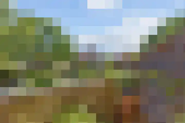 Albert van Dalsumlaan 819 Utrecht thumbnail 27