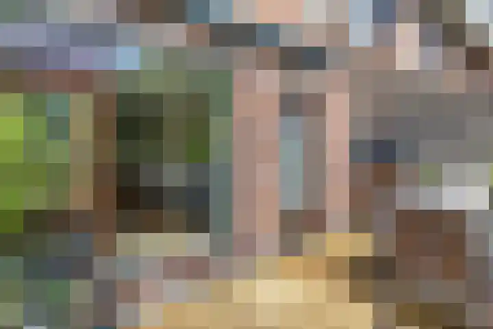 Albert van Dalsumlaan 819 Utrecht thumbnail 28