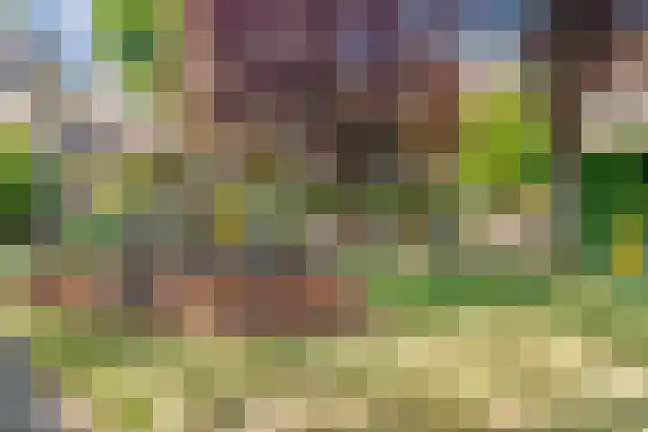 Albert van Dalsumlaan 819 Utrecht thumbnail 32