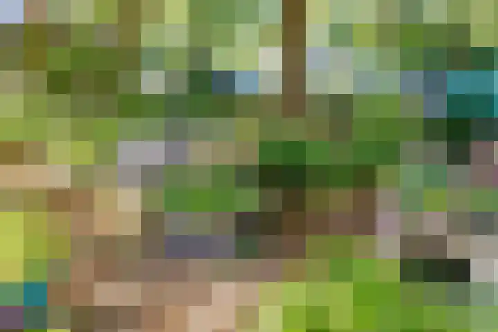 Albert van Dalsumlaan 819 Utrecht thumbnail 33