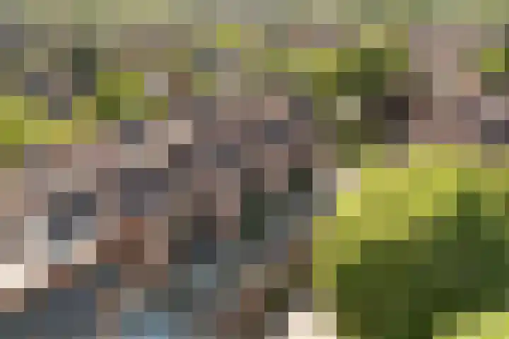 Albert van Dalsumlaan 819 Utrecht thumbnail 5