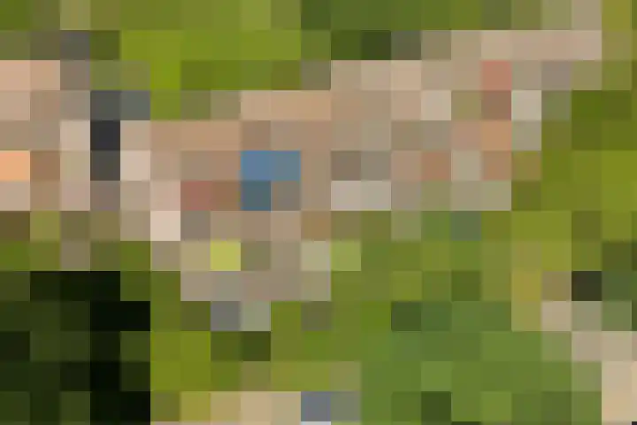 Albert van Dalsumlaan 819 Utrecht thumbnail 6