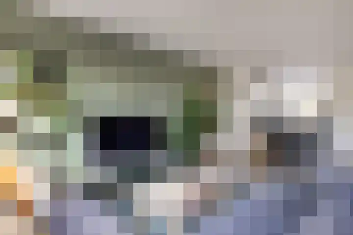 Albert van Dalsumlaan 833 Utrecht thumbnail 17