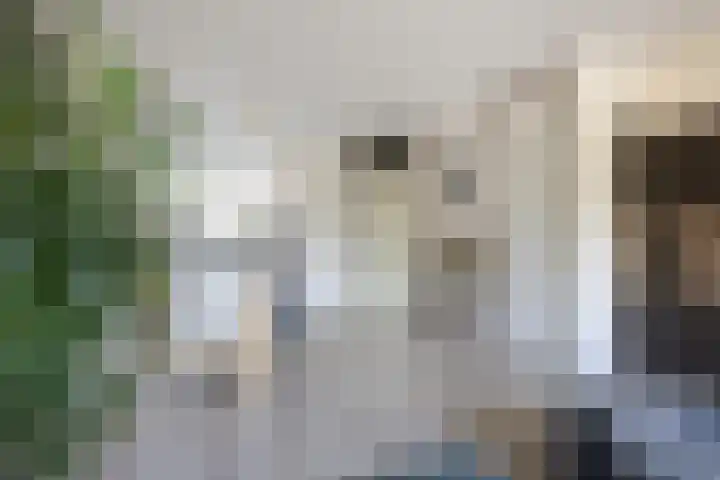 Albert van Dalsumlaan 833 Utrecht thumbnail 19