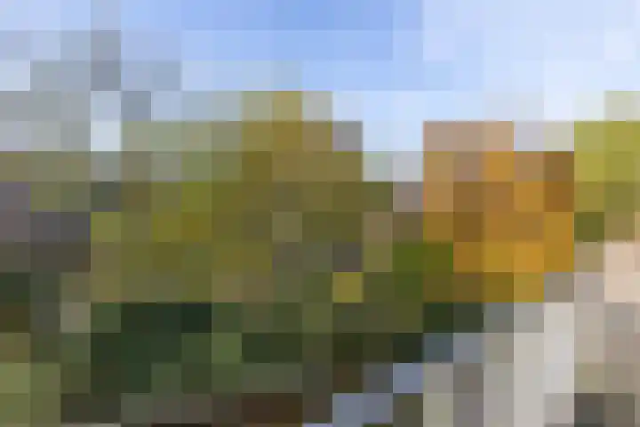 Albert van Dalsumlaan 833 Utrecht thumbnail 37