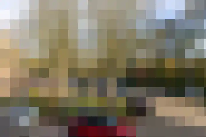 Albert van Dalsumlaan 833 Utrecht thumbnail 40