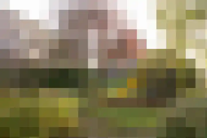 Albert van Dalsumlaan 833 Utrecht thumbnail 44