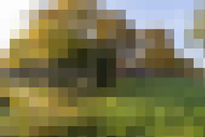Albert van Dalsumlaan 833 Utrecht thumbnail 45