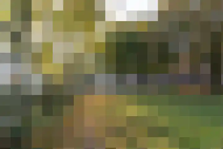 Albert van Dalsumlaan 833 Utrecht thumbnail 46