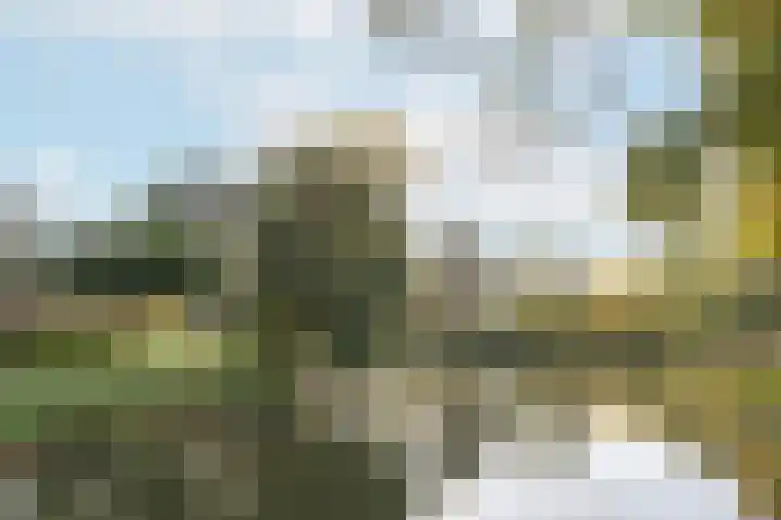 Albert van Dalsumlaan 833 Utrecht thumbnail 47