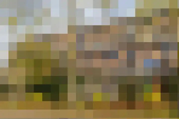 Albert van Dalsumlaan 833 Utrecht thumbnail 7