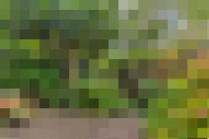 Albert van Dalsumlaan 845 Utrecht thumbnail 21
