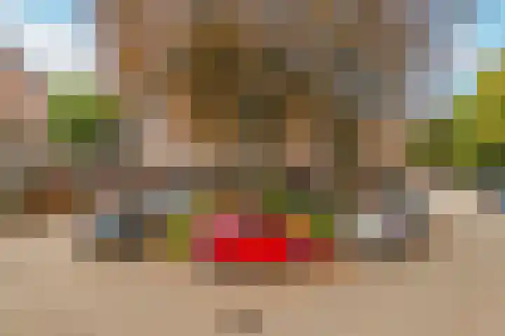 Albert van Dalsumlaan 845 Utrecht thumbnail 24